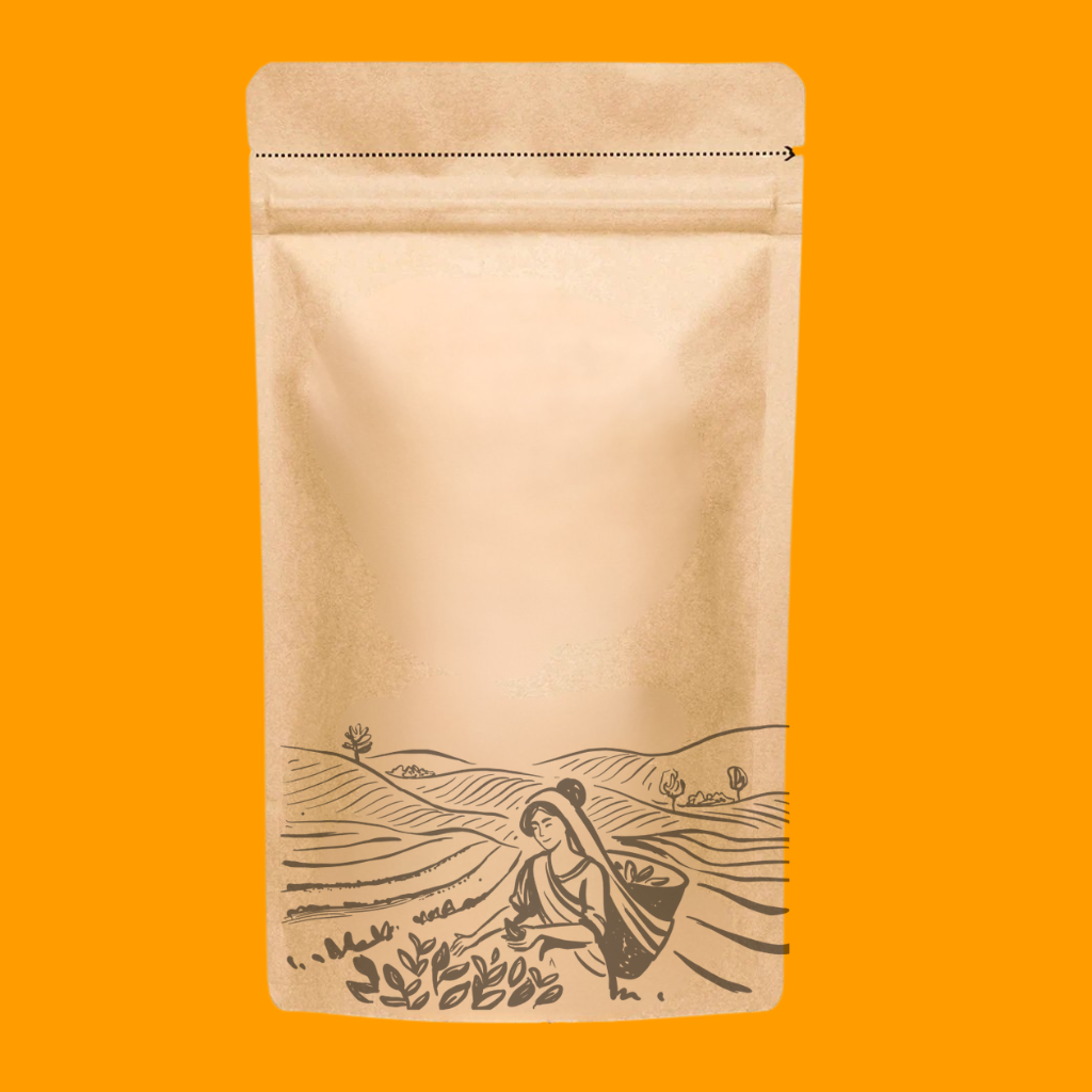 Blank kraft pouch