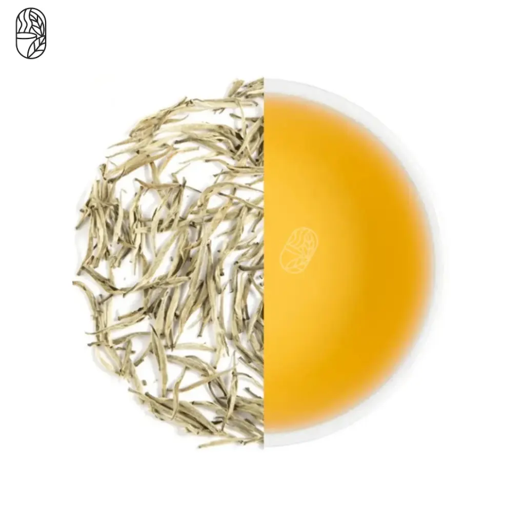 White Tea — dry leaves and brewed liquor